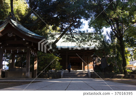 Shinagawa Ward, Oi Shikasu Shrine 37016395