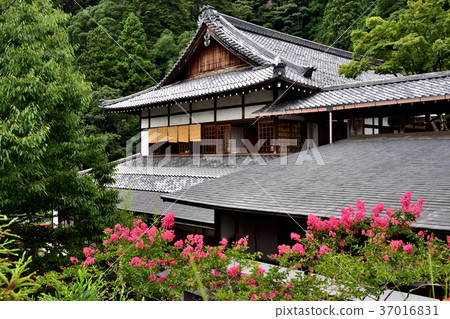 神保王子終身學院庫拉瑪寺 37016831