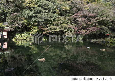Fujiyama Motomiya Asama Taisha / Ayutamaike Fujiyama Motomiya Asama Taisha / Ayutamaike 37017420