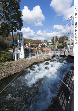 Ayutamaike和Kandagawa 37017438