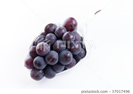 大peone葡萄 大peone葡萄 37017496