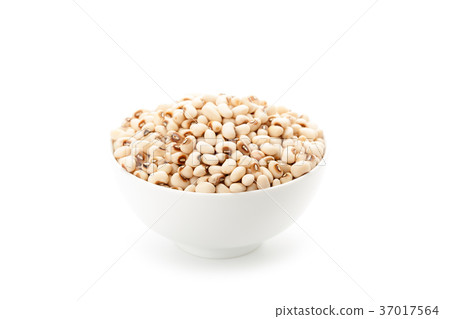 white kidney bean white kidney bean 37017564