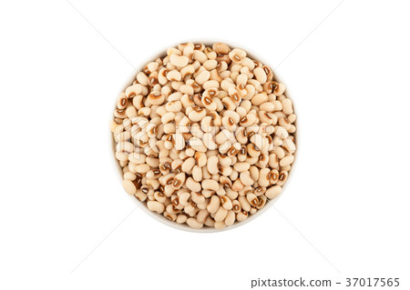 white kidney bean white kidney bean 37017565