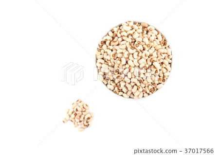 white kidney bean white kidney bean 37017566