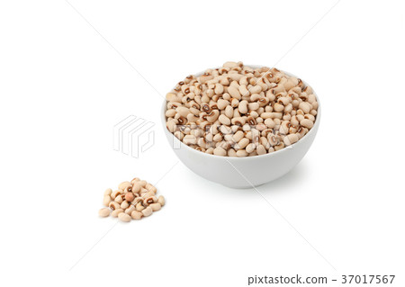 white kidney bean white kidney bean 37017567