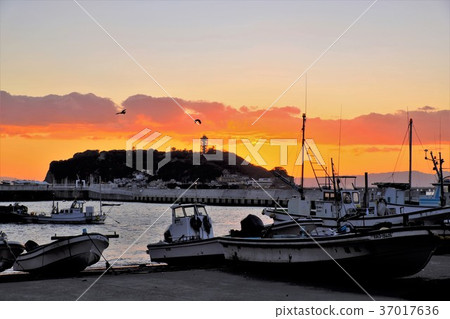 江之島日落美景 37017636