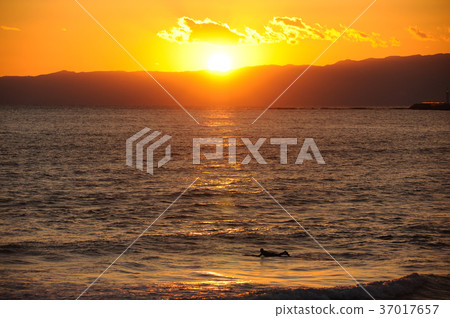 湘南風景江之島湘南海岸 湘南風景江之島湘南海岸 37017657