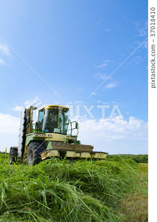 草甸大型收割機 37018410