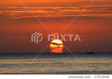 Dharma sunrise Dharma sunrise 37018438