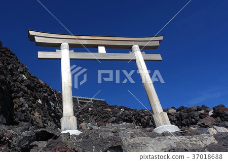 日本風景 山梨 富士山 37018688