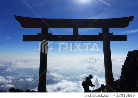 Japanese landscape, Yamanashi, Mount Fuji 37018689