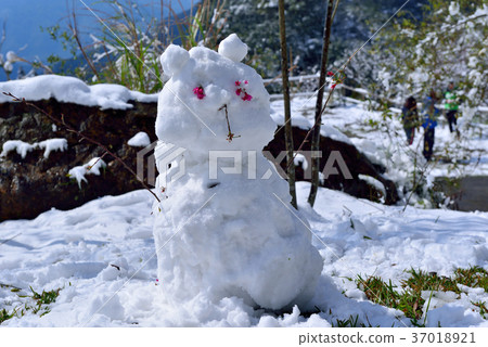 雪景,下雪,雪人,視野,山,冬季,冬天,造形,樹,臺灣,桃園,新鮮,自然 雪景,下雪,雪人,視野,山,冬季,冬天,造形,樹,臺灣,桃園,新鮮,自然 37018921