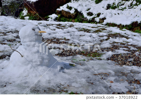 雪景,下雪,雪人,視野,山,冬季,冬天,造形,樹,臺灣,桃園,新鮮,自然 37018922