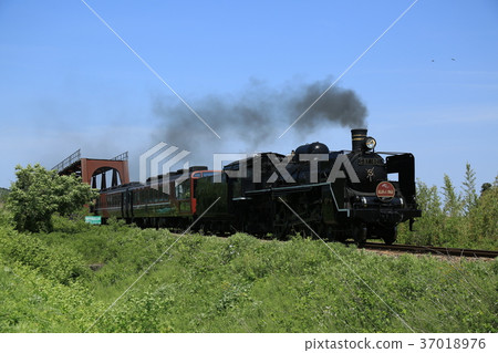 饅頭故事敘事 37018976