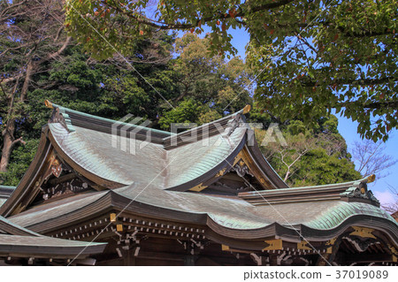 Enoshima Shrine 37019089