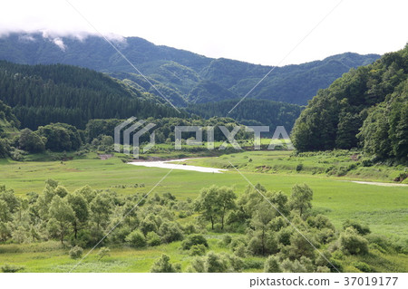 Akita Tamagawa 37019177