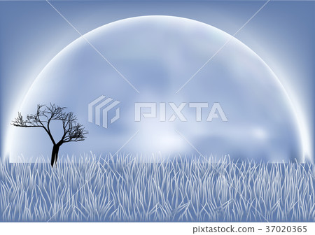 fool moon 37020365