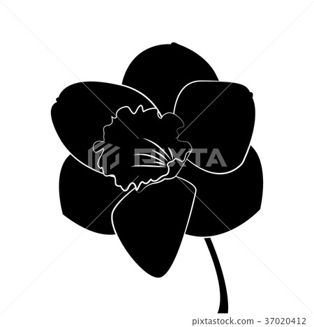 Cute silhouette flower Cute silhouette flower 37020412