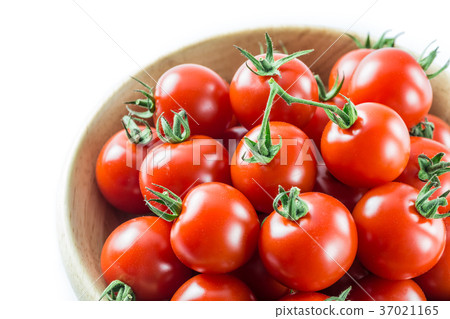Mini Tomato Mini Tomato 37021165