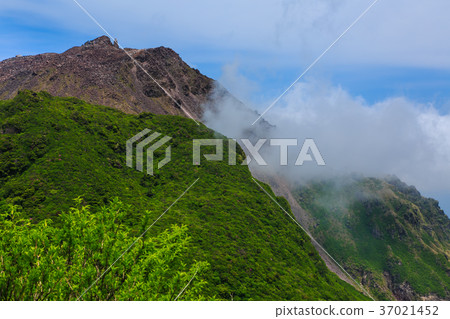 從山的新綠色雲仙視圖 從山的新綠色雲仙視圖 37021452