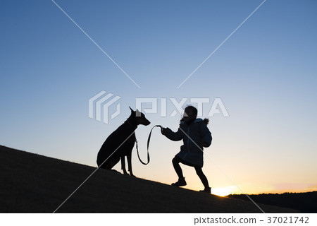 Doberman and children silhouettes Doberman and children silhouettes 37021742