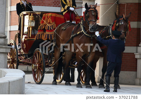 禮儀運輸 37021788