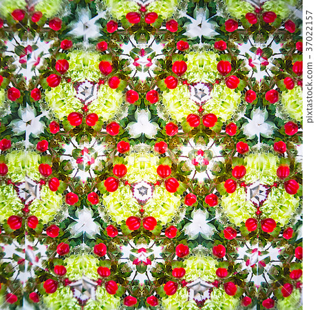 Design material Hippocampan fruit 37022157