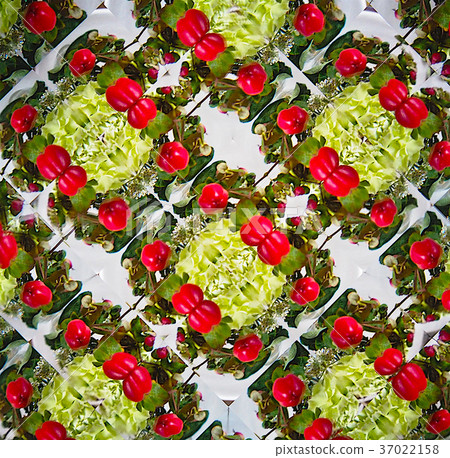Design material Hippocampan fruit 37022158