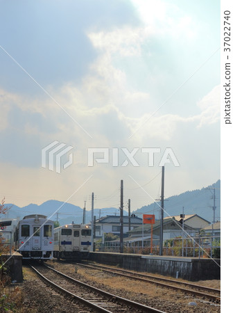 Local Line Tourist Train 37022740
