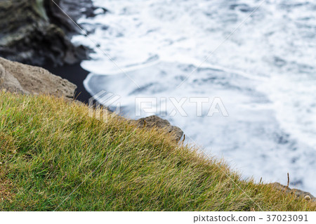 green grass on edge of cliff in Iceland green grass on edge of cliff in Iceland 37023091