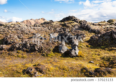 old rocks at Laugahraun lava field in Iceland 37023133