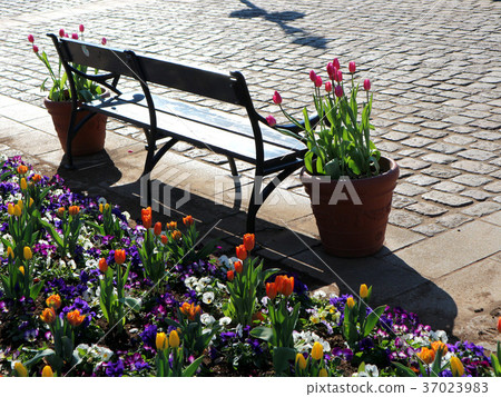 Ice tulips and benches of Funabashi Andersen Park (December) Funabashi City, Chiba Prefecture 37023983