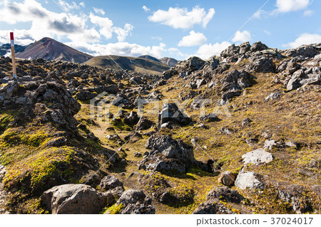 fence at Laugahraun volcanic lava field in Iceland 37024017