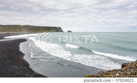 Kirkjufjara and Reynisfjara beaches in Iceland Kirkjufjara and Reynisfjara beaches in Iceland 37024021