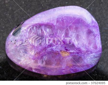 tumbled Charoite gemstone on dark 37024095
