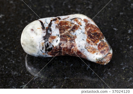 polished Eudialyte in syenite stone on dark 37024120