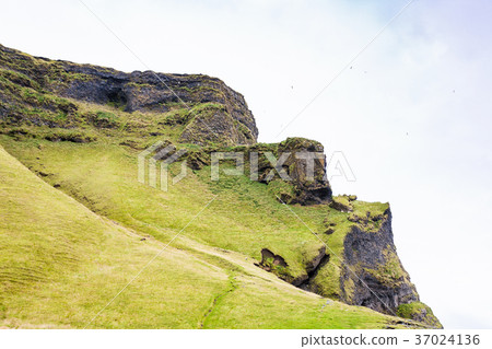cliff of Reynisfjall mount near Reynisfjara beach 37024136