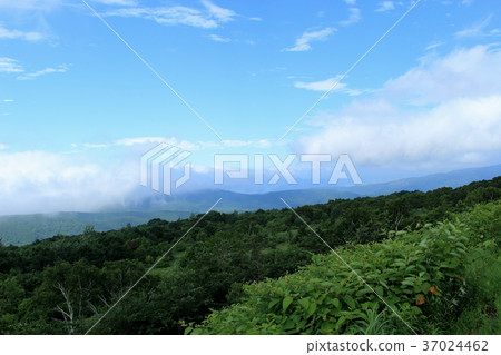 A view from the Orofle Pass Observatory in August A view from the Orofle Pass Observatory in August 37024462
