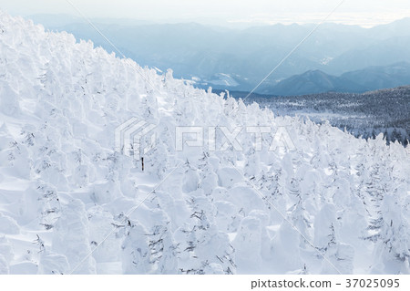 山形棗_地藏峰的冰層 山形棗_地藏峰的冰層 37025095