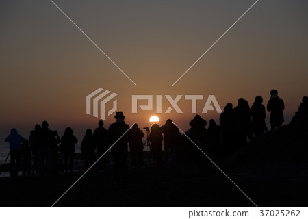 Sunrise Sunrise 37025262