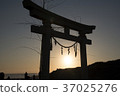 Torii Asahi 37025276