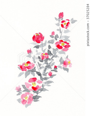 Camellia garden 37025284
