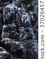 Mother's white waterfall 37026457