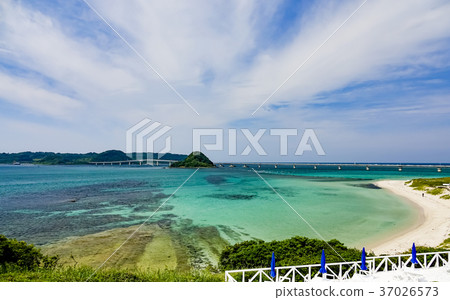 Kakushima Ohashi Kakushima Kakushima Ohashi Kakushima 37026573