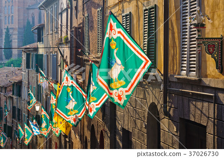 Contrada Oca - Siena 37026730