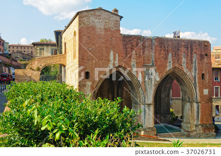 Fonte Nuova - Siena Fonte Nuova - Siena 37026731