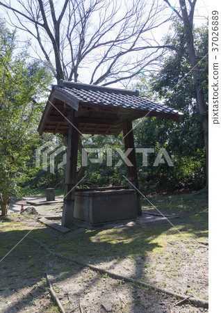 好在一個國家公園，京都，日本 37026889