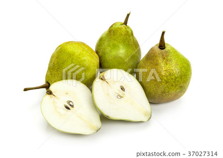 Pear Silver Bell Pear Silver Bell 37027314