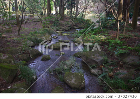 "Ogawa" 37027430