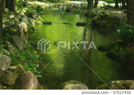 "A mountain stream" 37027436